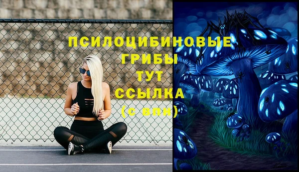 бошки Алексеевка